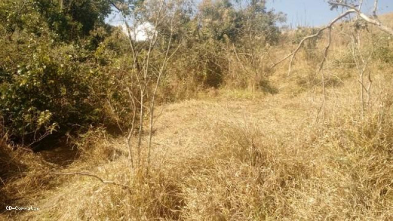 Imagem Terreno à Venda, 10.000 m² em Camanducaia Do Meio - Socorro