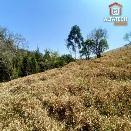 Imagem Imóvel à Venda, 24.200 m² em Correias - Bandeira Do Sul Imagem Imóvel à Venda, 24.200 m² em Correias - Bandeira Do Sul