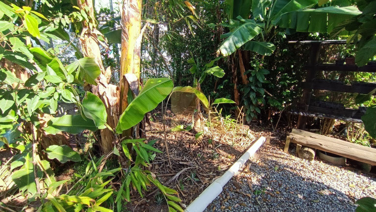 Imagem Imóvel com 3 Quartos à Venda, 156 m² em Campo D´una - Garopaba
