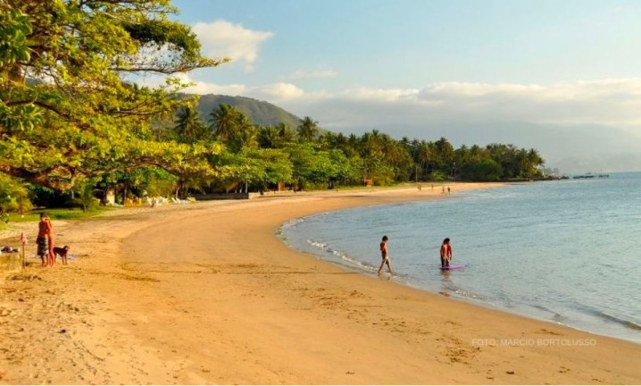 Imagem Terreno à Venda, 1.000 m² em Siriuba - Ilhabela Imagem Terreno à Venda, 1.000 m² em Siriuba - Ilhabela