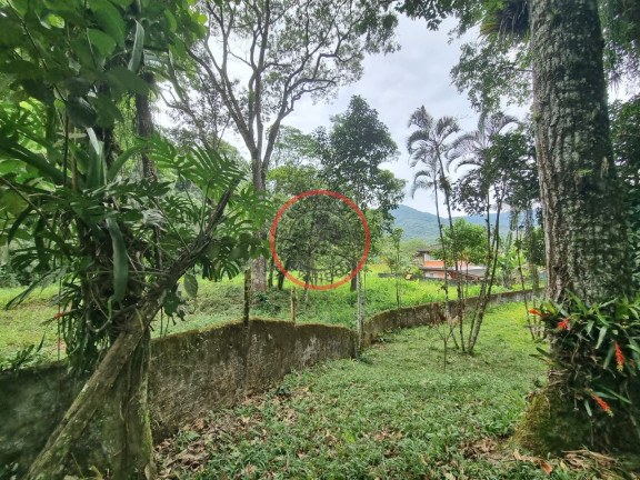 Imagem Casa com 3 Quartos à Venda, 1.000 m² em Boiçucanga - São Sebastião