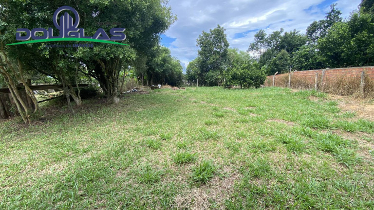 Imagem Casa à Venda, em Viamão Imagem Casa à Venda, em Viamão