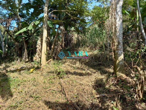 Imagem Terreno à Venda, 1.938 m² em Barra Velha - Ilhabela Imagem Terreno à Venda, 1.938 m² em Barra Velha - Ilhabela