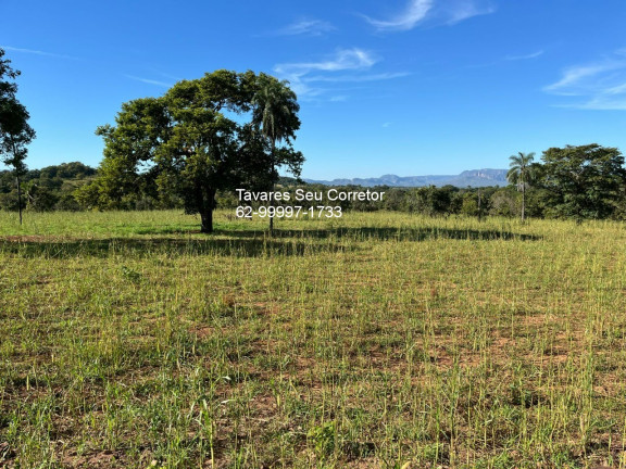 Imagem Imóvel à Venda,  em Zona Rural - Monte Alegre De Goiás