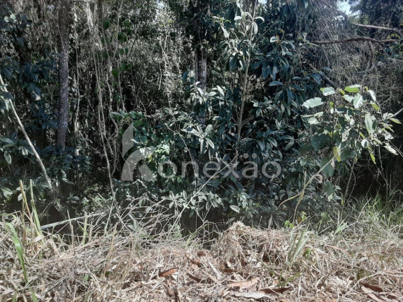 Imagem Chácara com 2 Quartos à Venda, 150 m² em Centro - Paraibuna Imagem Chácara com 2 Quartos à Venda, 150 m² em Centro - Paraibuna