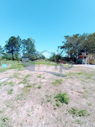 Imagem Chácara à Venda, 4.800 m² em Curralinhos - Passo De Torres Imagem Chácara à Venda, 4.800 m² em Curralinhos - Passo De Torres