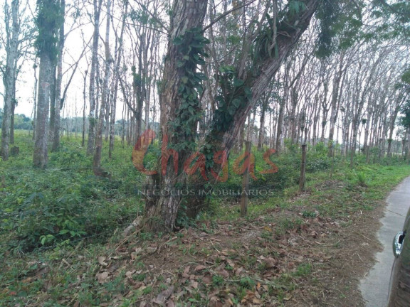 Imagem Terreno à Venda, 30.500 m² em Pegorelli - Caraguatatuba