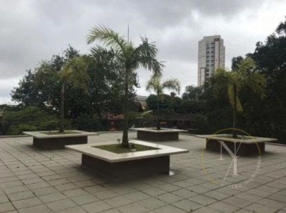 Imagem Apartamento com 3 Quartos à Venda, 59 m² em Vila Eldízia - Santo André Imagem Apartamento com 3 Quartos à Venda, 59 m² em Vila Eldízia - Santo André