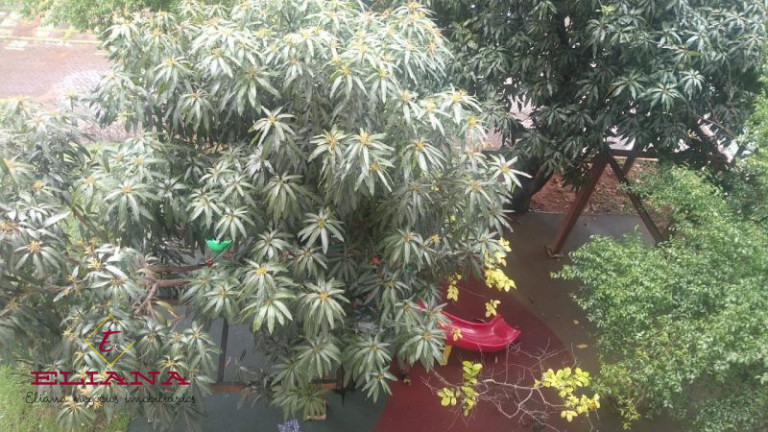 Imagem Apartamento com 2 Quartos à Venda, 44 m² em Jardim íris - São Paulo