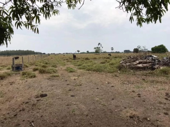 Imagem Fazenda à Venda, 1 m² em Zona Rural - Sinop Imagem Fazenda à Venda, 1 m² em Zona Rural - Sinop