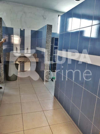Imagem Imóvel Comercial à Venda, 800 m² em Vila Maria Baixa - São Paulo Imagem Imóvel Comercial à Venda, 800 m² em Vila Maria Baixa - São Paulo