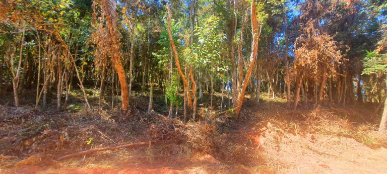 Imagem Imóvel à Venda, 700 m² em Recanto Dos Palmares - Atibaia Imagem Imóvel à Venda, 700 m² em Recanto Dos Palmares - Atibaia