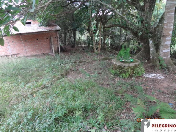 Imagem Imóvel com 3 Quartos à Venda, 45.000 m² em Zona Rural - Sentinela Do Sul Imagem Imóvel com 3 Quartos à Venda, 45.000 m² em Zona Rural - Sentinela Do Sul