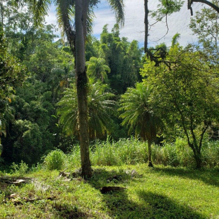 Imagem Terreno à Venda, 41.838 m² em Caeira - Governador Celso Ramos