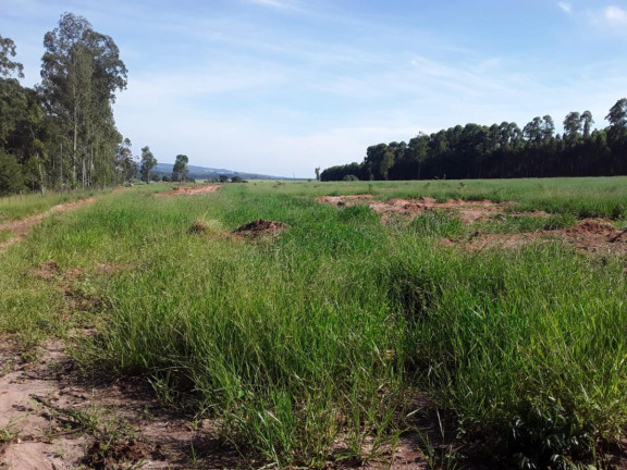 Imagem Chácara à Venda, 4 m² em Rural - Avaré Imagem Chácara à Venda, 4 m² em Rural - Avaré