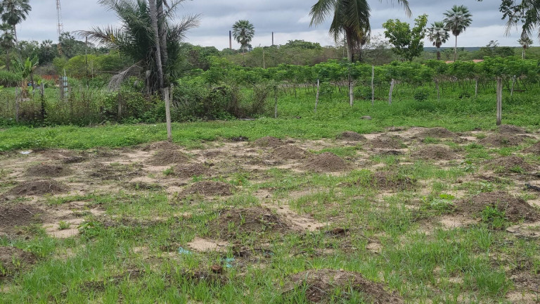 Imagem Terreno à Venda, 28.515 m² em Camará - Aquiraz Imagem Terreno à Venda, 28.515 m² em Camará - Aquiraz
