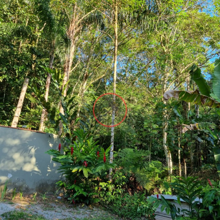 Imagem Terreno à Venda, 400 m² em Boiçucanga - São Sebastião Imagem Terreno à Venda, 400 m² em Boiçucanga - São Sebastião