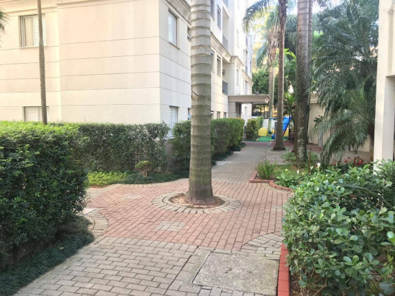 Imagem Apartamento com 2 Quartos à Venda, 50 m² em Vila Firmiano Pinto - São Paulo