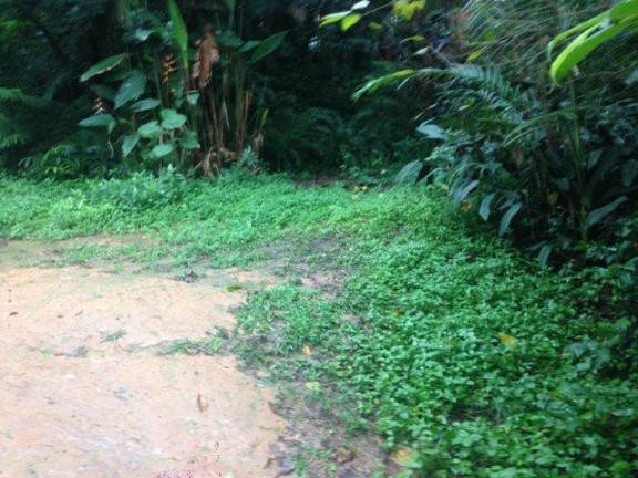 Imagem Terreno à Venda, 813 m² em Granja Viana - Cotia