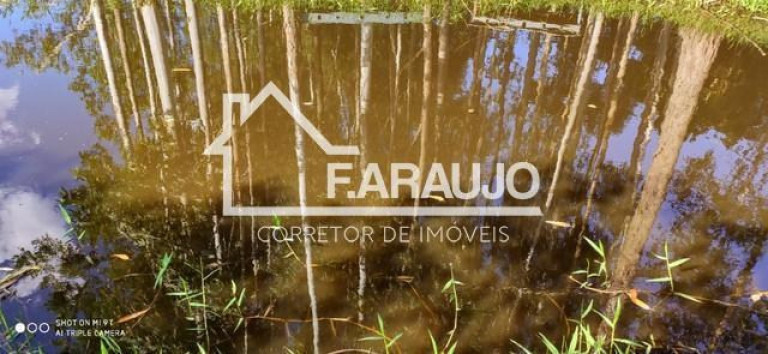 Imagem Imóvel com 3 Quartos à Venda, 5.250 m² em Campo Do Meio - Araçoiaba Da Serra