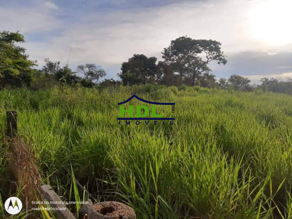 Imagem Fazenda à Venda, 318 m² em Zona Rural - Araguaiana Imagem Fazenda à Venda, 318 m² em Zona Rural - Araguaiana