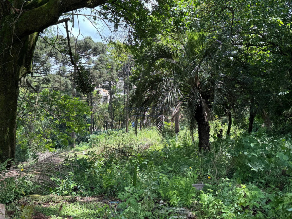 Terreno à Venda, 20.084 m² em Osasco - Colombo