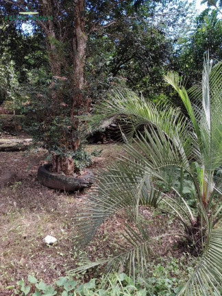 Casa à Venda,  em São Carlos