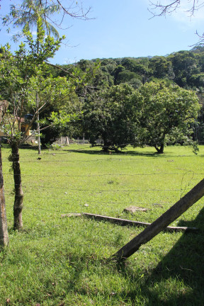 Imagem Chácara à Venda, 16.573 m² em Sertão Do Trombudo - Itapema Imagem Chácara à Venda, 16.573 m² em Sertão Do Trombudo - Itapema