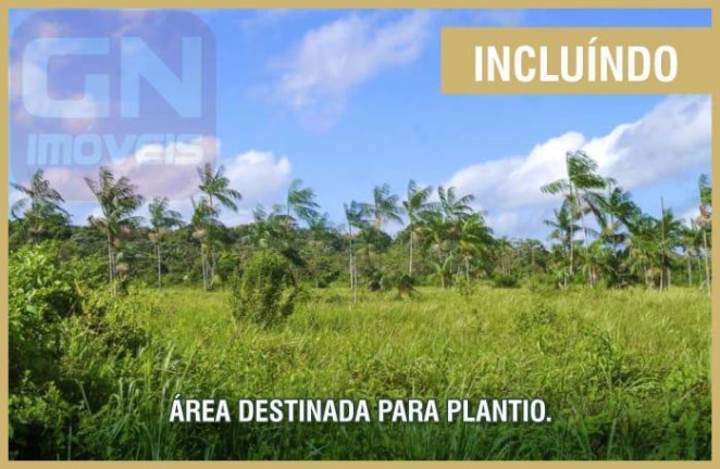 Imagem Fazenda à Venda,  em Castanhal