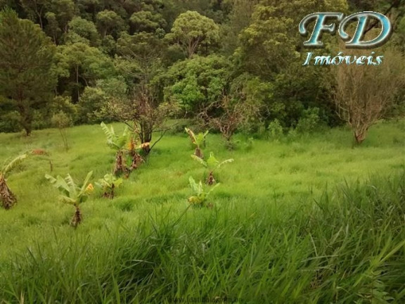 Imagem Fazenda à Venda, 1.113.200 m² em Terra Preta - Mairiporã Imagem Fazenda à Venda, 1.113.200 m² em Terra Preta - Mairiporã