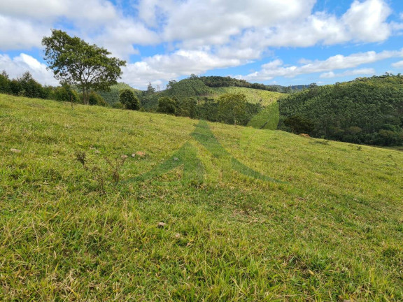 Imagem Chácara com 2 Quartos à Venda, 4.840.000 m² em Piracaia - Piracaia Imagem Chácara com 2 Quartos à Venda, 4.840.000 m² em Piracaia - Piracaia