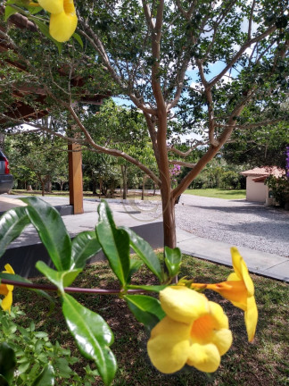 Imagem Chácara com 5 Quartos à Venda, 500 m² em Bairro Da Grama - Paraibuna Imagem Chácara com 5 Quartos à Venda, 500 m² em Bairro Da Grama - Paraibuna