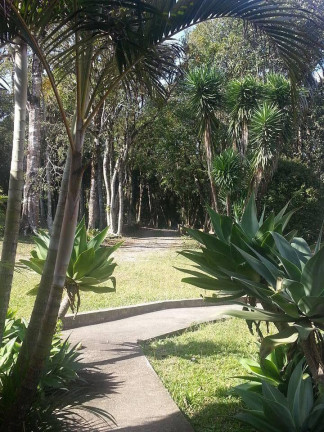 Imagem Chácara com 3 Quartos à Venda, 3 m² em Piedade