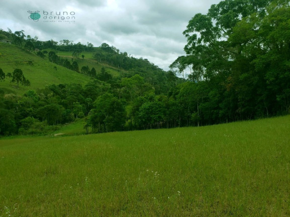 Imagem Imóvel à Venda, 70.000 m² em Zona Rural - Alfredo Wagner Imagem Imóvel à Venda, 70.000 m² em Zona Rural - Alfredo Wagner