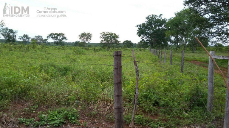 Imagem Chácara à Venda, 6.660.000 m² em Centro - Cristalândia Imagem Chácara à Venda, 6.660.000 m² em Centro - Cristalândia