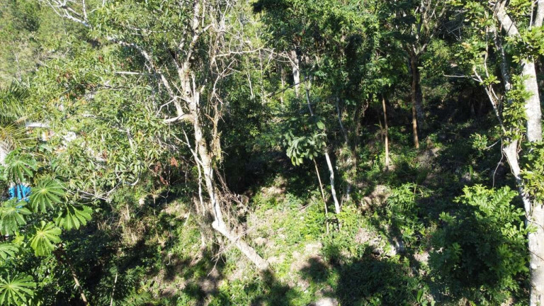 Imagem Terreno à Venda, 973 m² em Praia Da Gamboa - Garopaba Imagem Terreno à Venda, 973 m² em Praia Da Gamboa - Garopaba