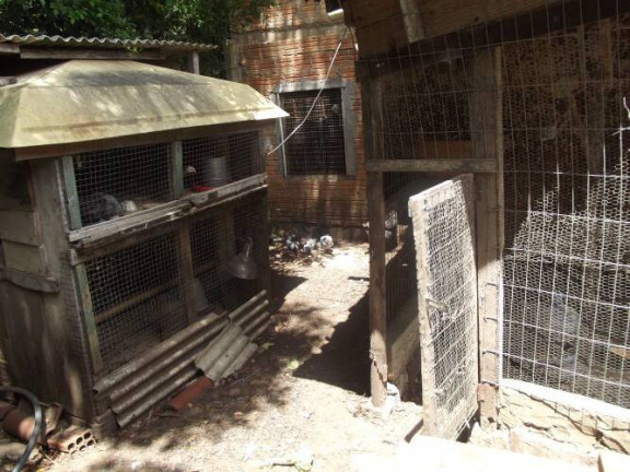 Imagem Chácara com 3 Quartos à Venda, 1.600 m² em águas Claras - Viamão