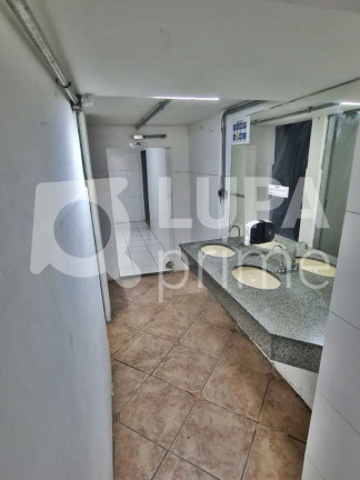 Imagem Imóvel Comercial para Alugar, 170 m² em Vila Guilherme - São Paulo