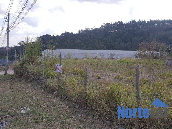 Imagem Terreno à Venda, 8.000 m² em Morro Grande - Caieiras Imagem Terreno à Venda, 8.000 m² em Morro Grande - Caieiras