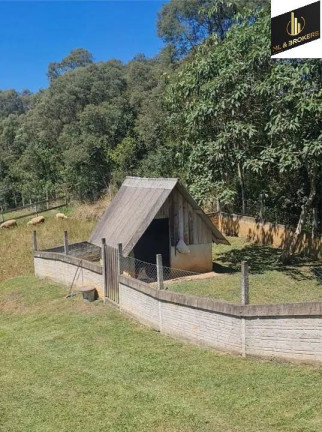 Imagem Imóvel com 4 Quartos à Venda, 46.000 m² em Freguesia Dos Laras - Campo Magro
