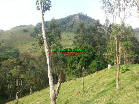 Imagem Chácara à Venda, 20.000 m² em São Francisco Xavier - São José Dos Campos Imagem Chácara à Venda, 20.000 m² em São Francisco Xavier - São José Dos Campos