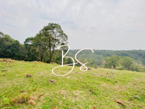 Imagem Terreno à Venda, 48.300 m² em Mato Queimado - Gramado Imagem Terreno à Venda, 48.300 m² em Mato Queimado - Gramado