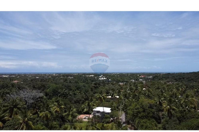 Imagem Terreno à Venda, 450 m² em Vila Comercial Dendezeiros - Mata De São João Imagem Terreno à Venda, 450 m² em Vila Comercial Dendezeiros - Mata De São João