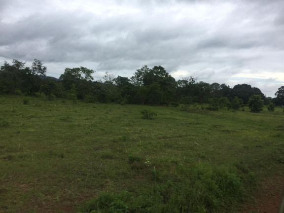 Imagem Imóvel à Venda, em Goiatins/to - Goiatins Imagem Imóvel à Venda, em Goiatins/to - Goiatins