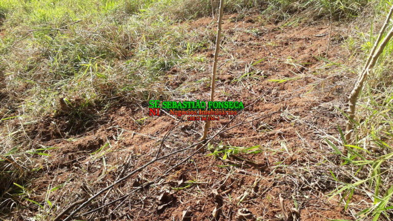 Imagem Chácara à Venda, 750 m² em Sob. Consulta - Paraibuna Imagem Chácara à Venda, 750 m² em Sob. Consulta - Paraibuna