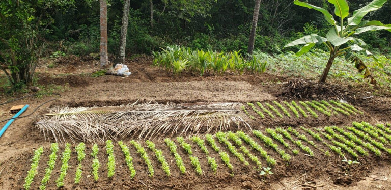 Imagem Imóvel à Venda, 12.000 m² em Zona Rural - Camaçari Imagem Imóvel à Venda, 12.000 m² em Zona Rural - Camaçari