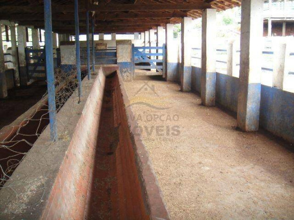 Imagem Fazenda à Venda, 155 m² em São Miguel - Lorena