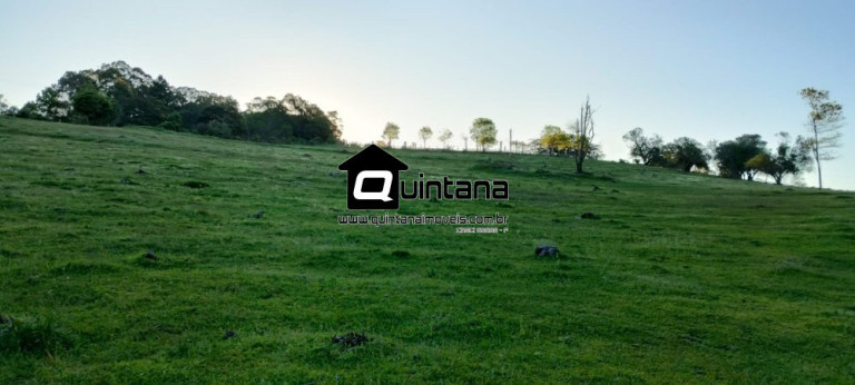 Imagem Imóvel com 1 Quarto à Venda, 230.000 m² em Santo Amor - Morro Redondo