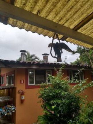 Imagem Casa com 2 Quartos à Venda, 200 m² em Boiçucanga - São Sebastião