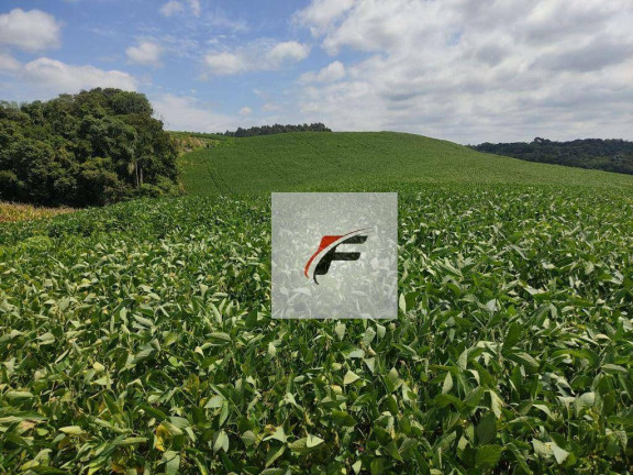 Imagem Imóvel à Venda, 117.000 m² em água Amarela - Antônio Olinto Imagem Imóvel à Venda, 117.000 m² em água Amarela - Antônio Olinto